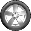 Ikon (Nokian) Character Ice 5